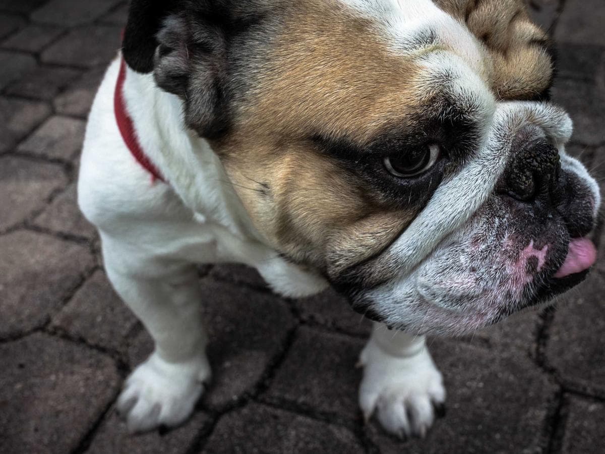 Glass floor panel in the Anantara villa revealing the turquoise lagoon