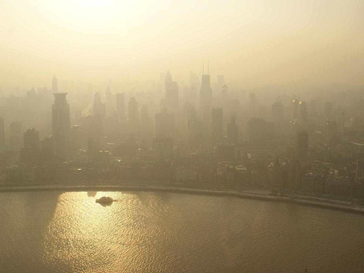 Executive Room at Dhevanafushi with floor-to-ceiling city view