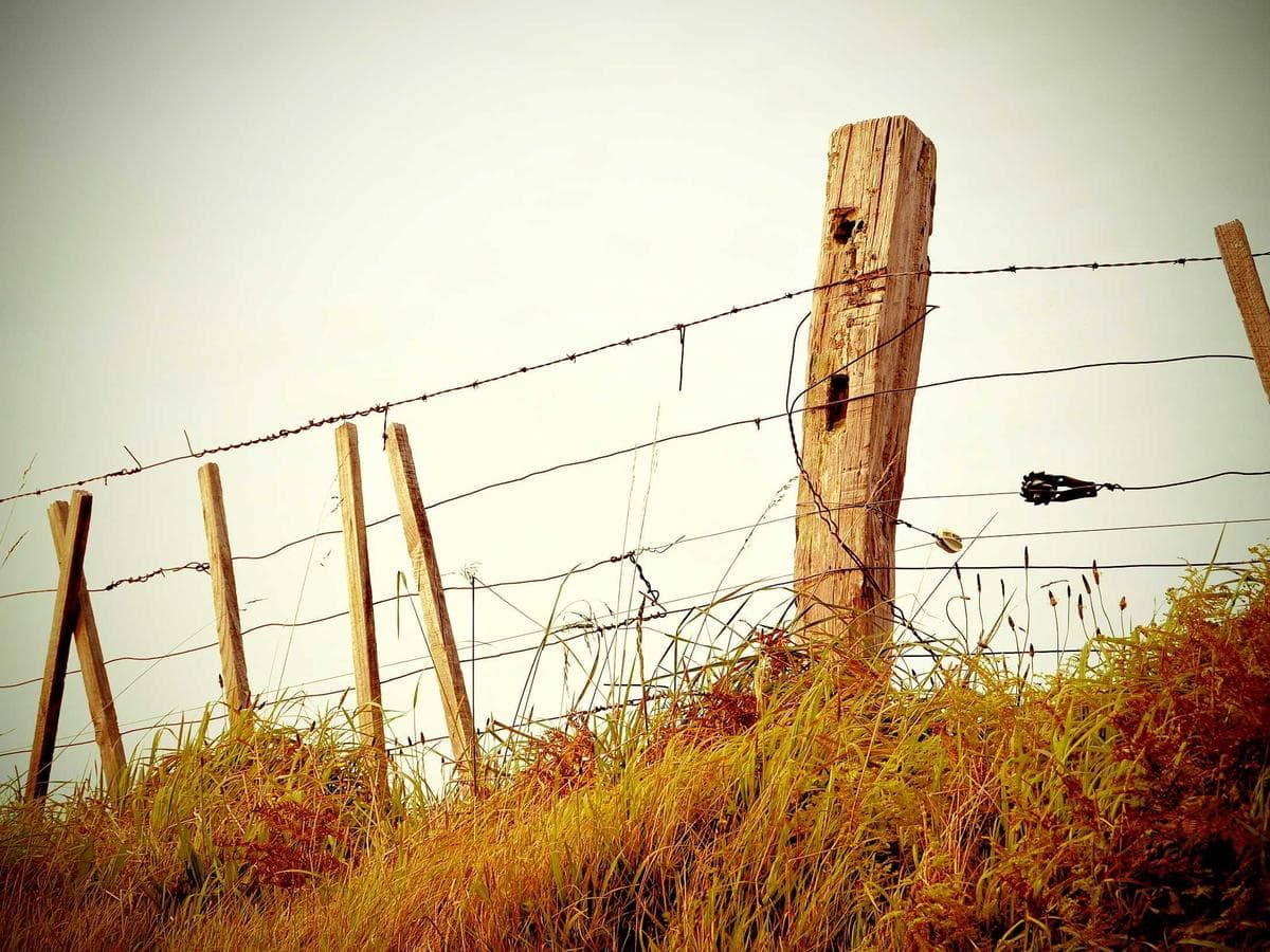 King bed with sea-facing windows at Hulhulé Island Hotel