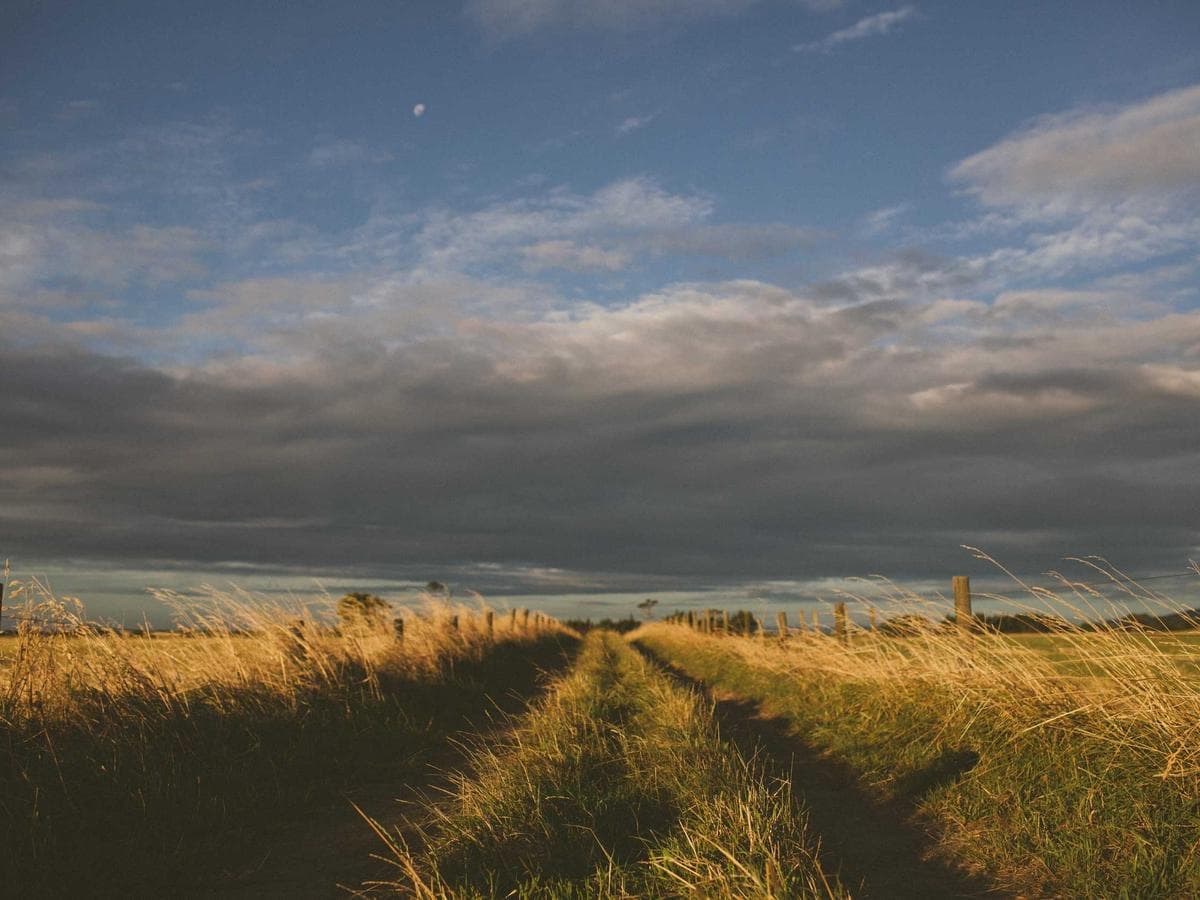 King bed facing floor-to-ceiling lagoon windows at LUX* Transit