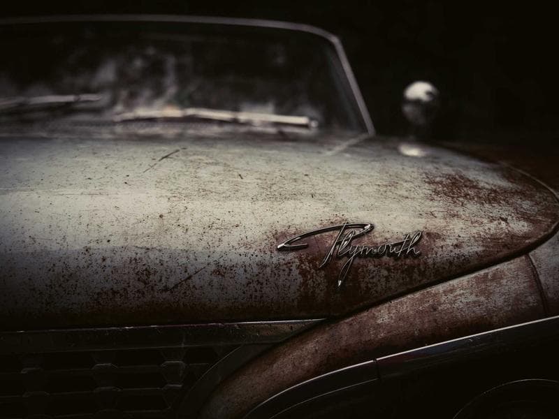 Architect's suite with gallery-white walls and curated Maldivian objects