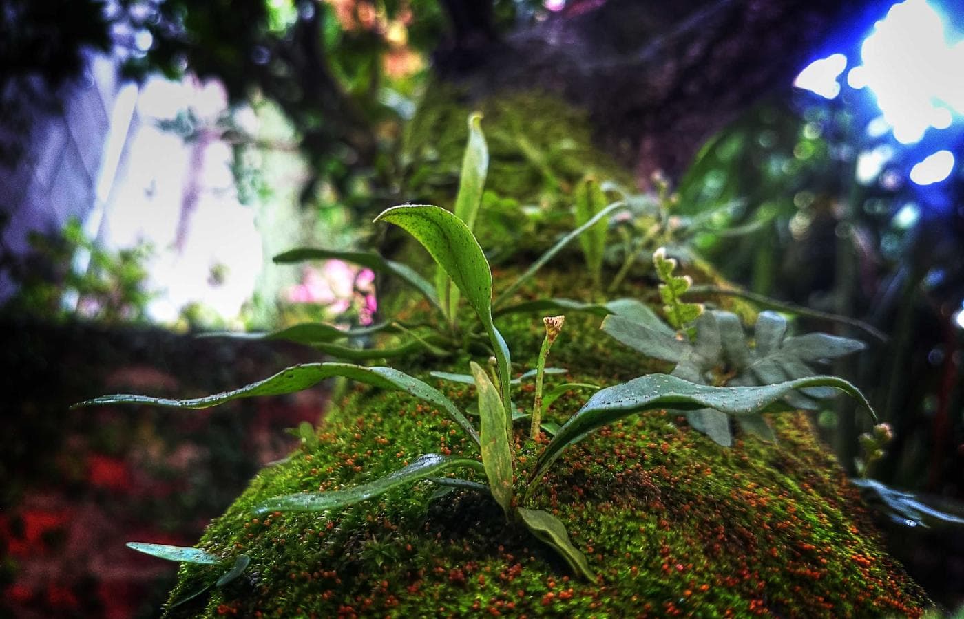 Nika Urban Design Hotel — exterior at golden hour