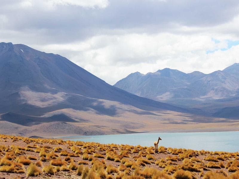 Heavenly Spa treatment room with woven palm and ocean-scented oils