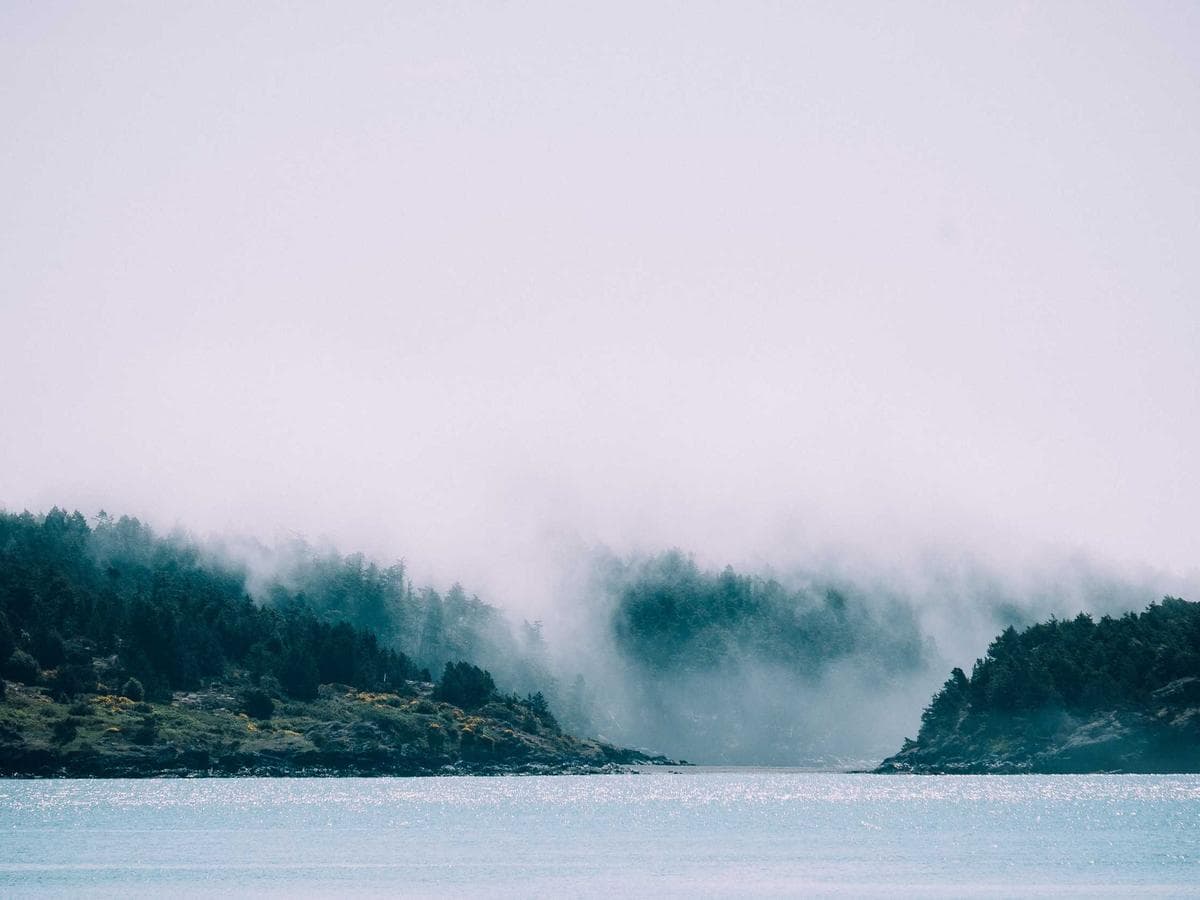 Westin Deluxe Beach View room with Heavenly Bed and sheer curtains